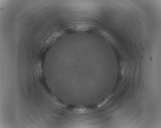 X0000067500506200604101234