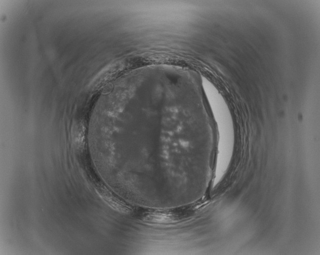 X0000067500507200604101234