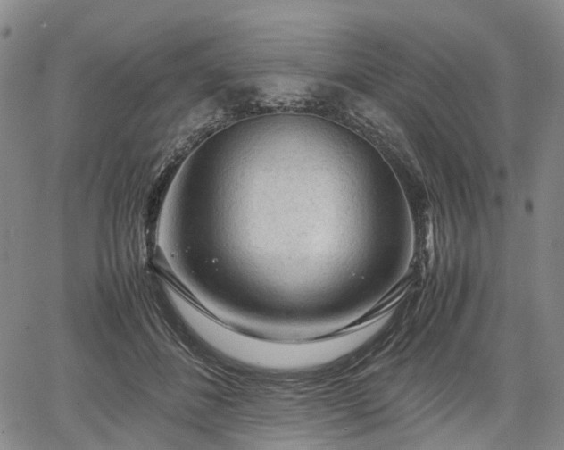 X0000067500508200604101234