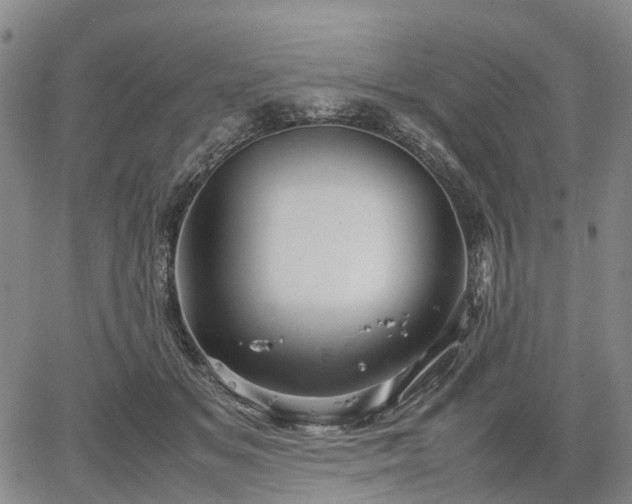 X0000067500509200604101234