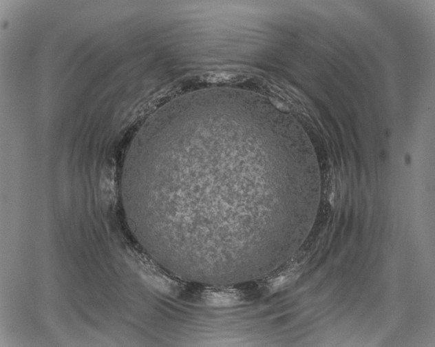 X0000067500510200604101234