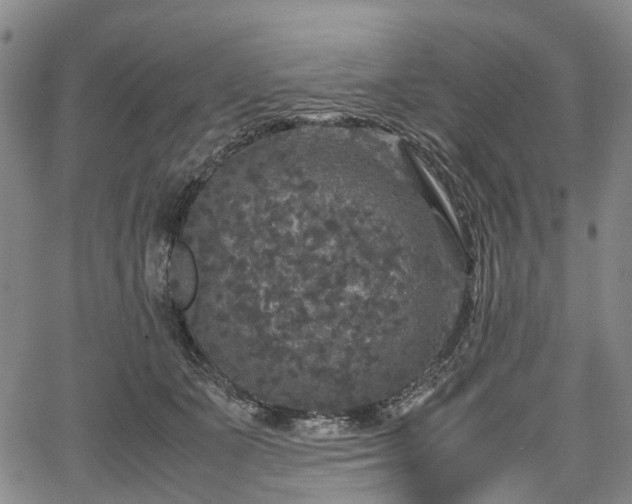 X0000067500511200604101234