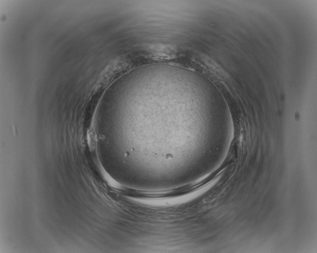 X0000067500512200604101234