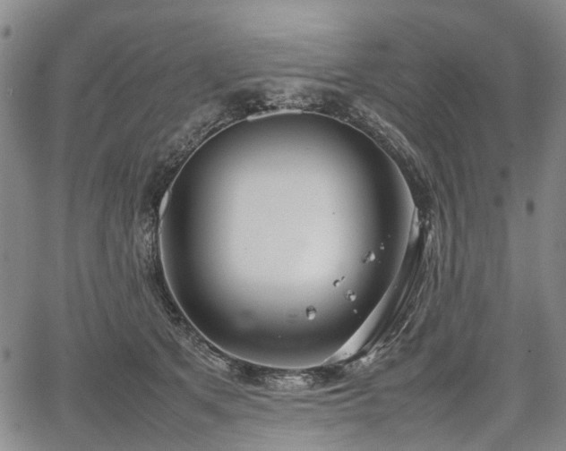 X0000067500513200604101234