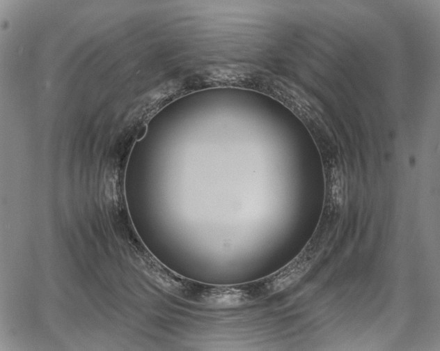 X0000067500514200604101234