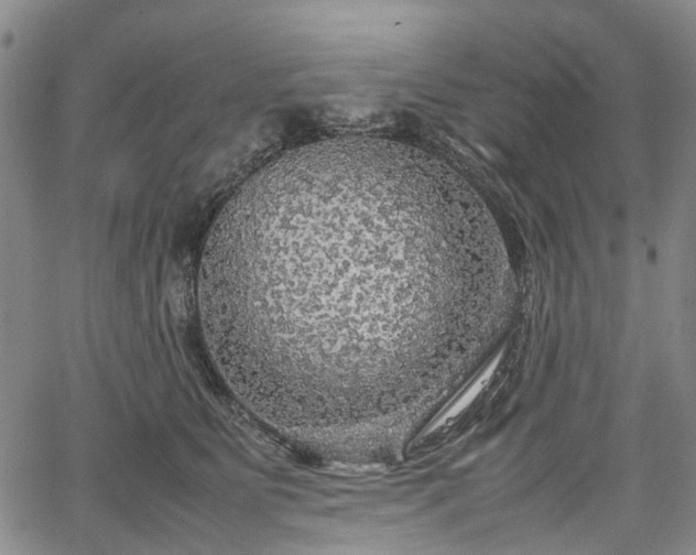 X0000067500515200604101234