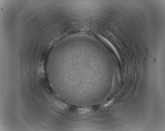 X0000067500516200604101234