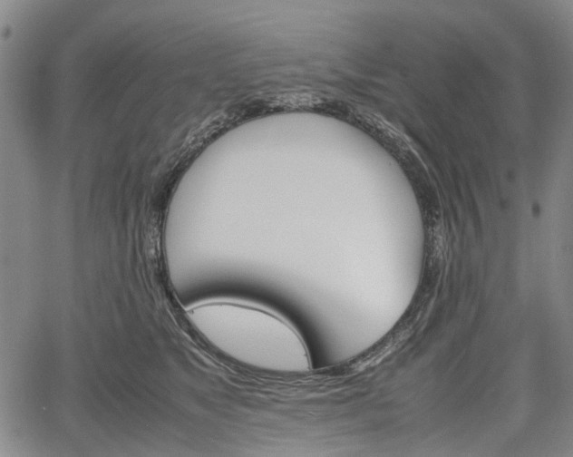 X0000067500517200604101234