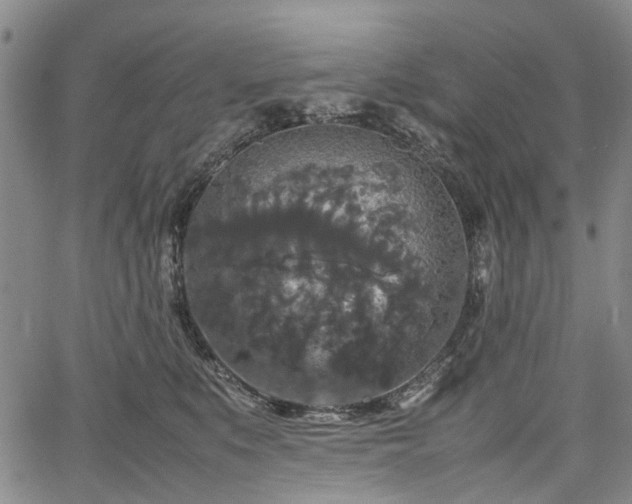 X0000067500519200604101234