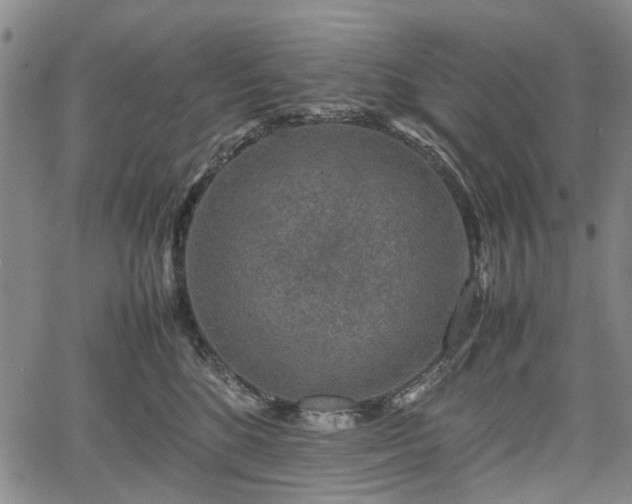 X0000067500520200604101234