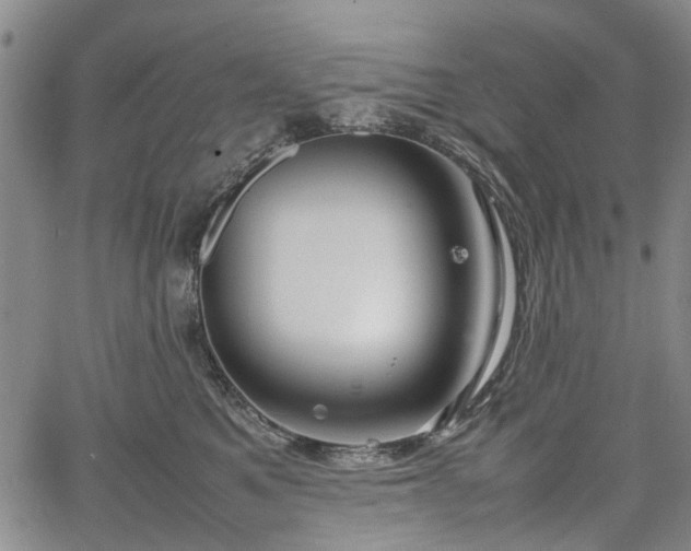 X0000067500521200604101234