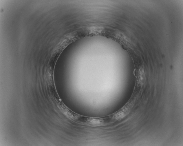 X0000067500522200604101234