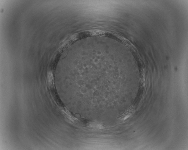 X0000067500523200604101234