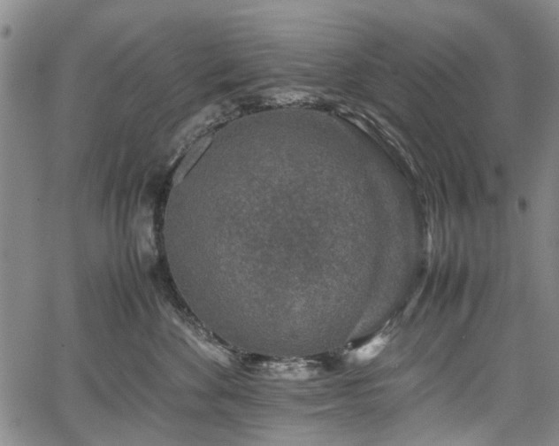 X0000067500524200604101234