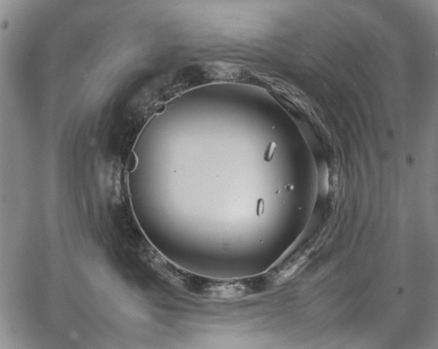 X0000067500525200604101234