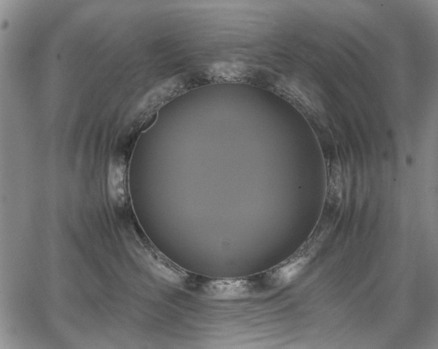 X0000067500526200604101234