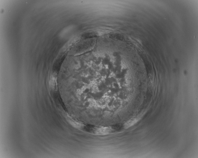 X0000067500527200604101234