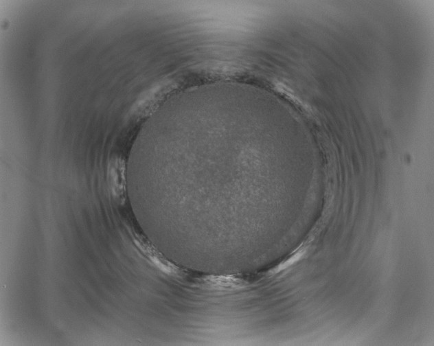 X0000067500528200604101234