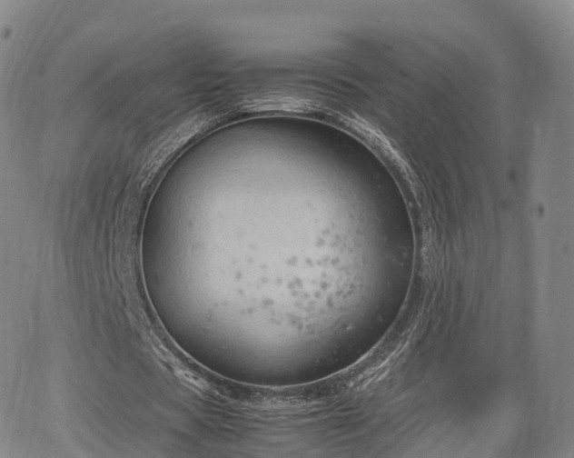 X0000067500529200604101233