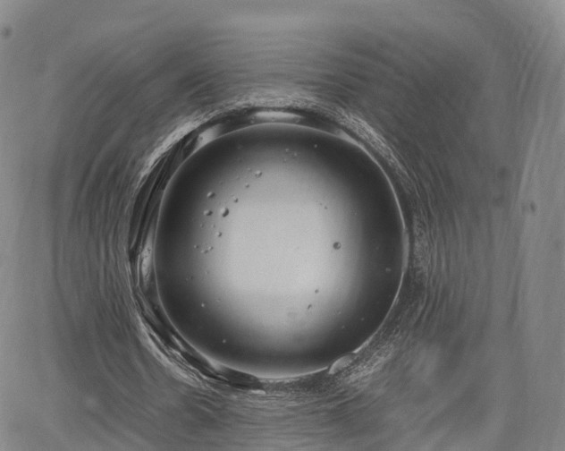 X0000067500530200604101233