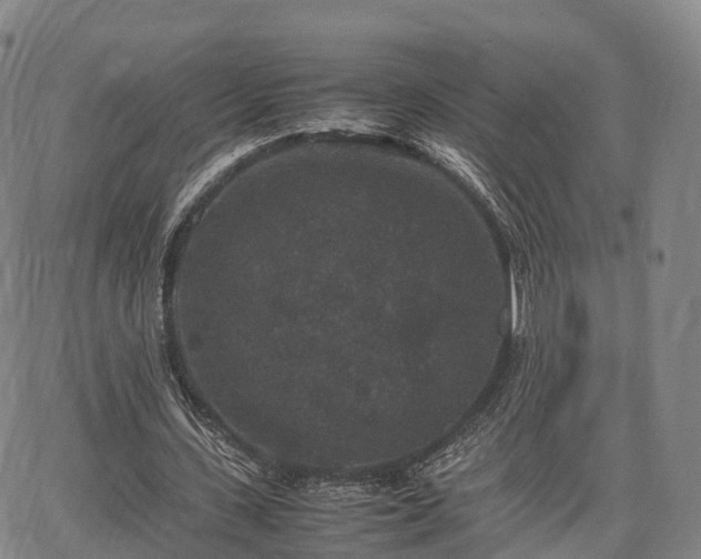 X0000067500531200604101233