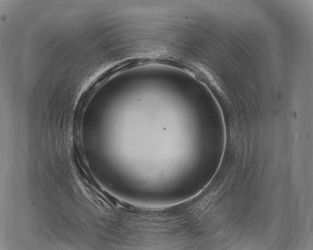 X0000067500532200604101233