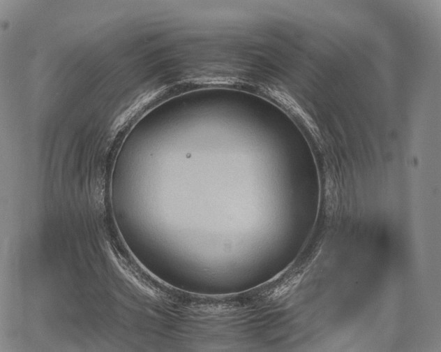 X0000067500533200604101233