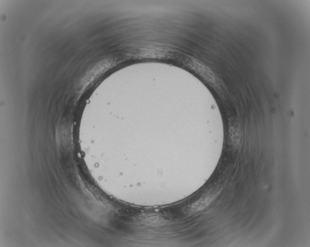 X0000067500534200604101233