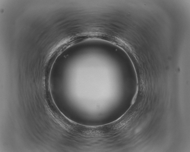 X0000067500535200604101233