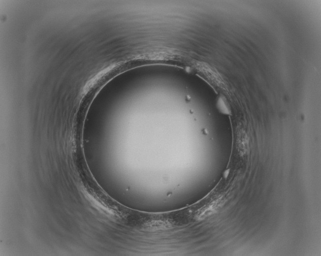 X0000067500536200604101233