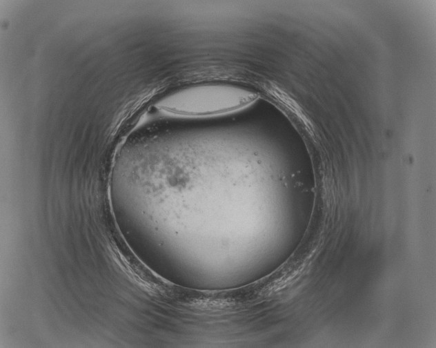 X0000067500537200604101233