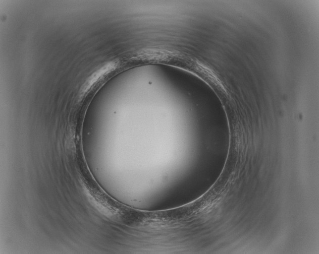 X0000067500538200604101233