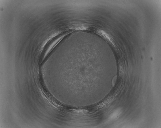 X0000067500539200604101233