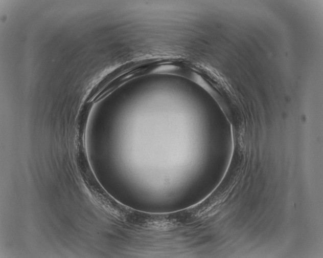 X0000067500540200604101233