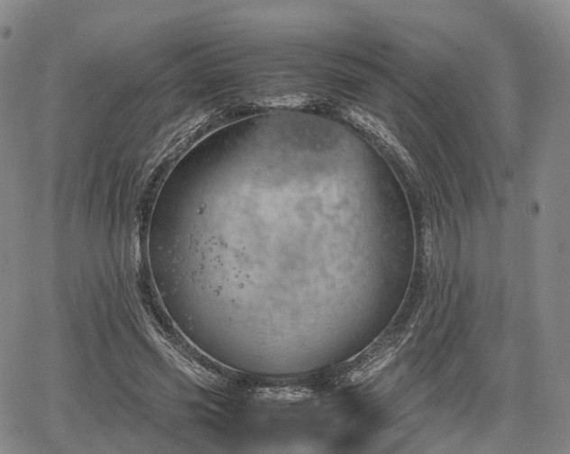 X0000067500541200604101233