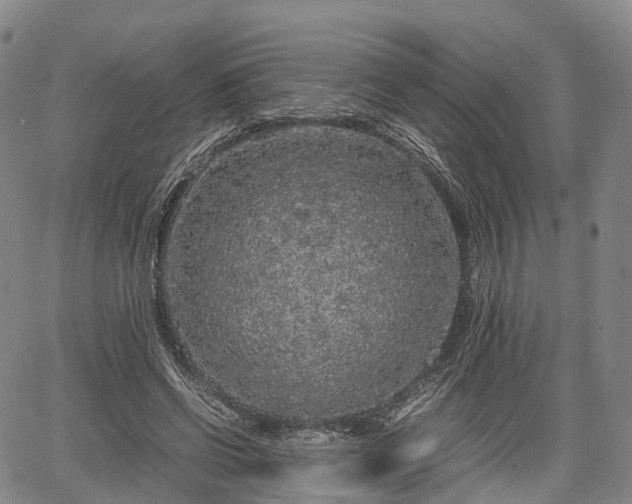 X0000067500542200604101233