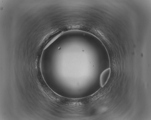 X0000067500543200604101233