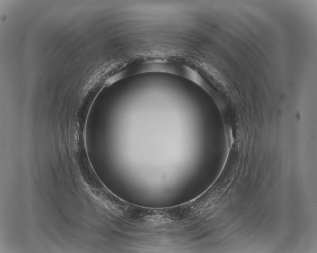 X0000067500544200604101233