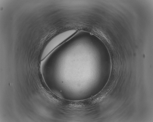 X0000067500545200604101233