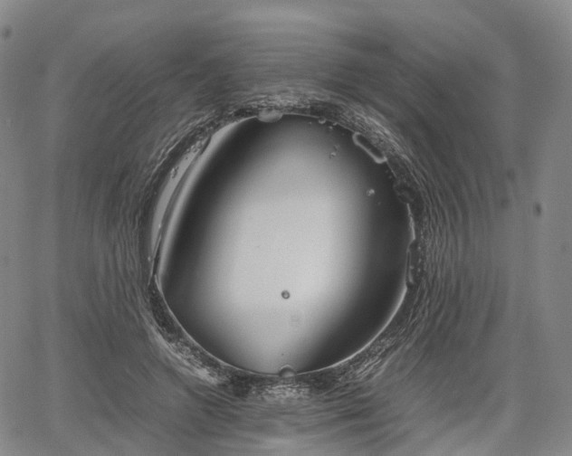 X0000067500546200604101233