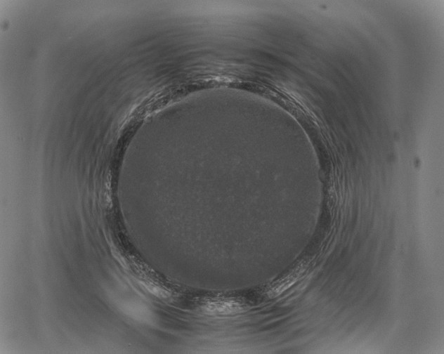 X0000067500547200604101233