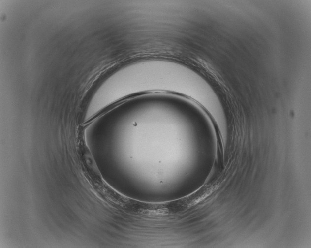 X0000067500548200604101233