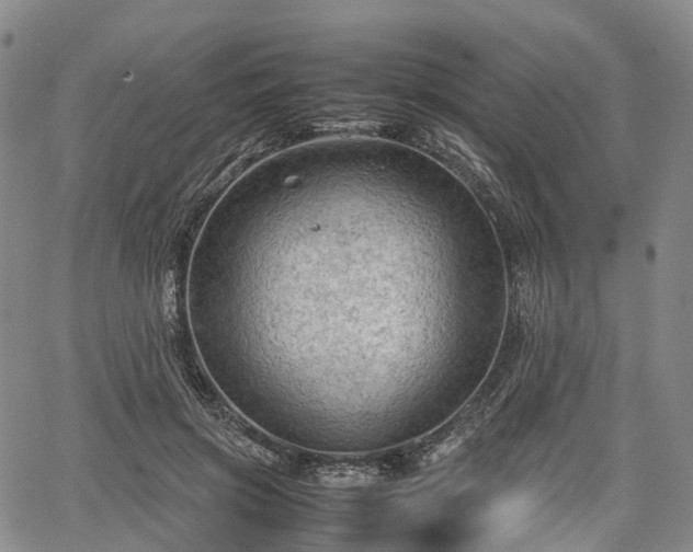 X0000067500549200604101233