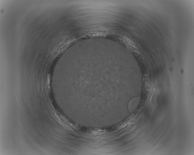 X0000067500550200604101233