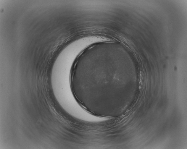 X0000067500551200604101233