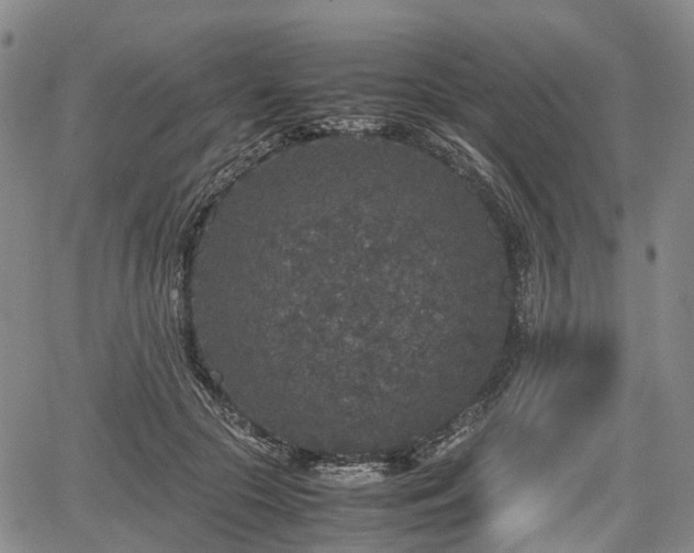 X0000067500553200604101233