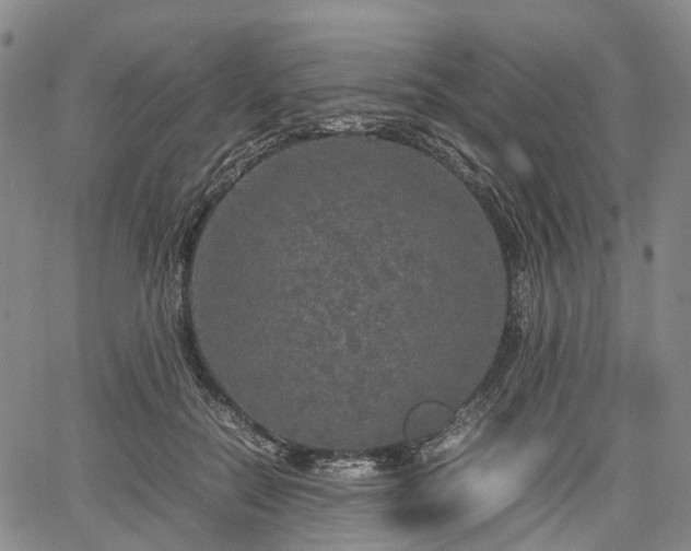 X0000067500554200604101233