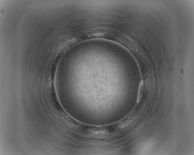 X0000067500555200604101233