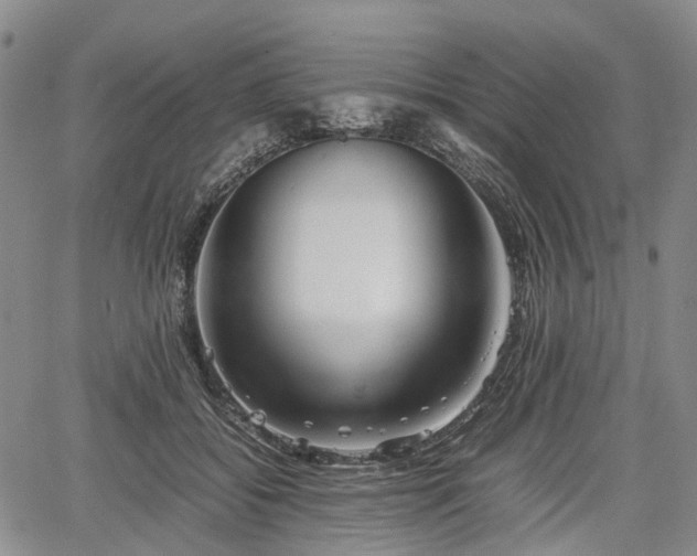 X0000067500556200604101233