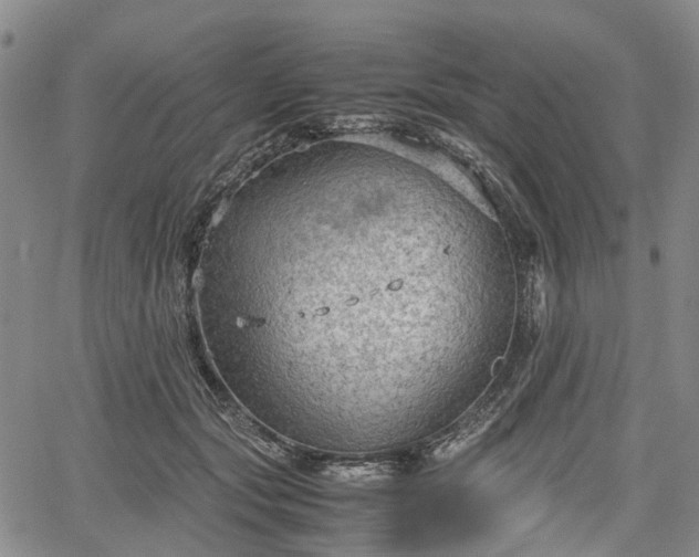 X0000067500557200604101233